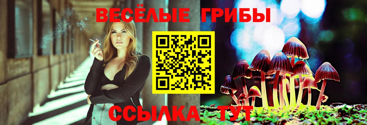 Галлюциногенные грибы Magic Shrooms Воскресенск